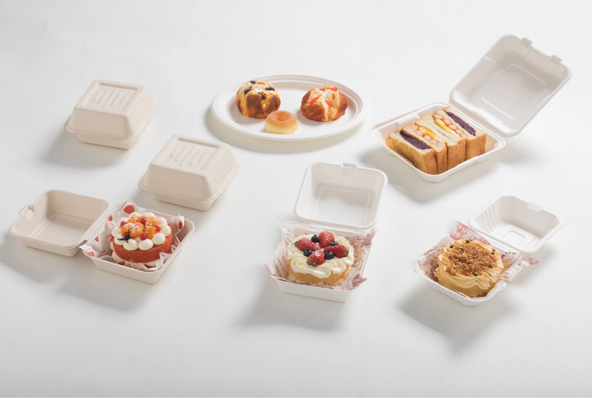 甘蔗渣浆可降解餐盒系列